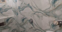 Spacious 2BHK Flat in Mansa Ram Park, Delhi | Prime Location | Ready to Move