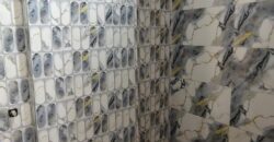 Budget 1 BHK Flat in Dwarka Mor | Near Metro Station