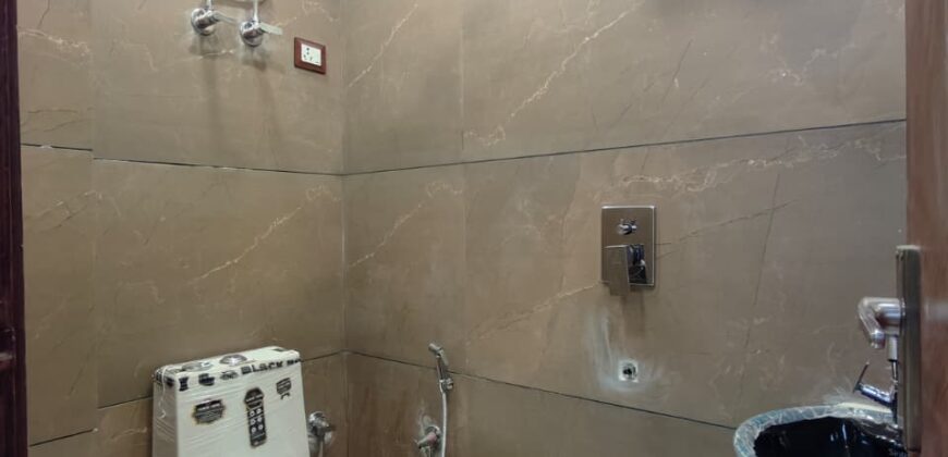 Spacious 3 BHK Flat with Common Terrace Garden in Delhi