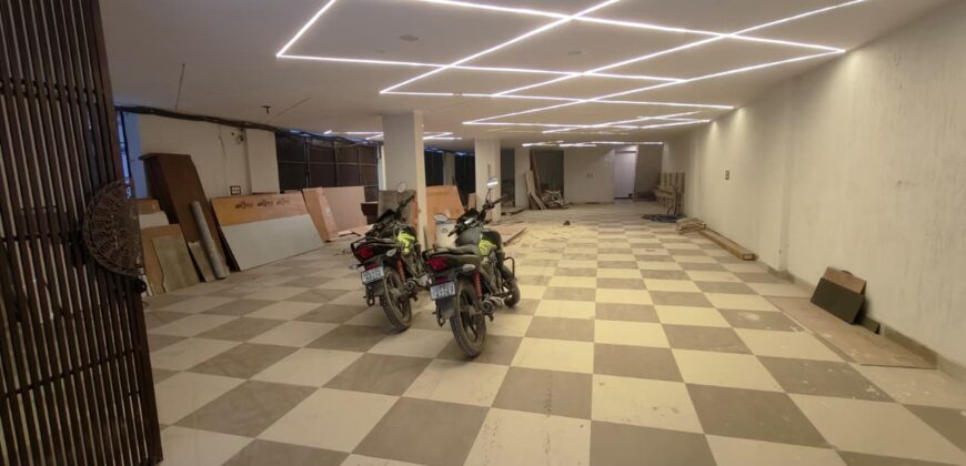 Spacious 3 BHK Flat with Common Terrace Garden in Delhi