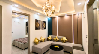 Fully Furnished 2 BHK Flat in Mansa Ram Park Dwarka Mor Near Metro for Sale