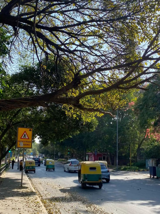 The Future of Delhi-NCR Real Estate: Growth, Roads & Homes