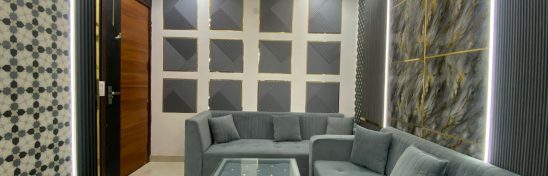 Modern grey living room