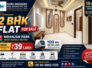 2 bhk flat near nangli metro station