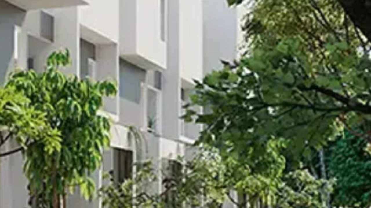 white flat