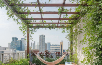 Roof Top Gardening