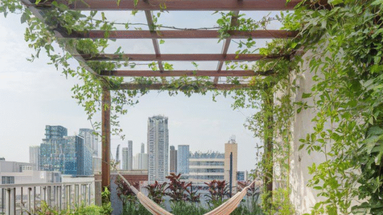 Roof Top Gardening